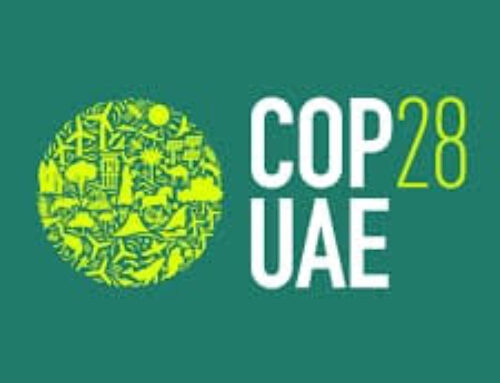 COP28 in Dubai