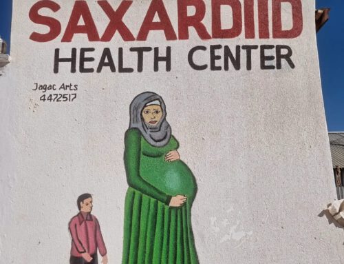 A Glimpse into Maternal, Child, and Mental Health Initiatives in Hargeisa
